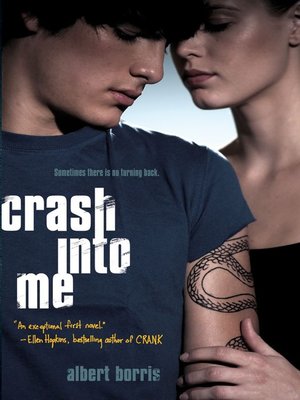 cover image of Crash into Me